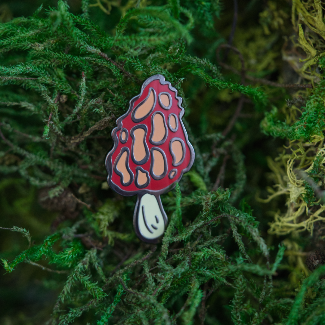 Fall Mushroom Set with 4 Pins
